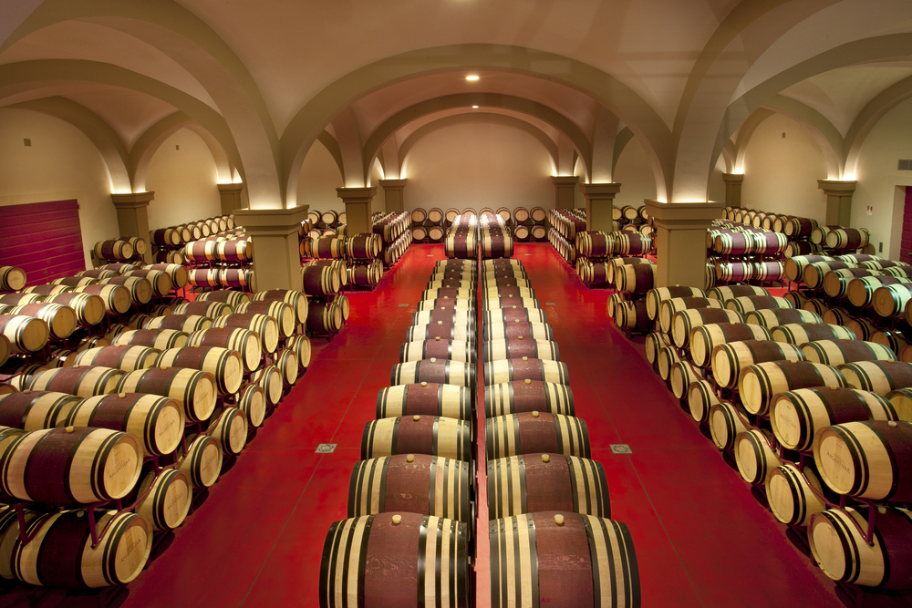 Copy of Tenuta Argentiera_image_cellar