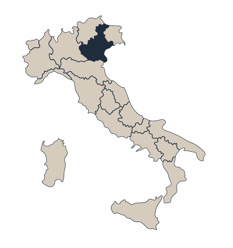 Tavernello Tavernello Organic Pinot Grigio delle Venezie