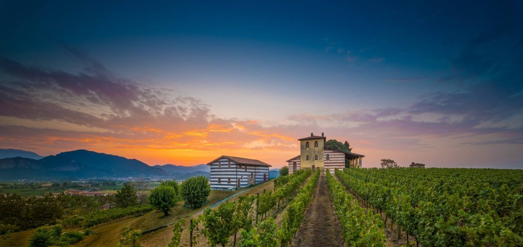 Berlucchi_image_vineyard and view