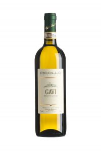  Picollo Ernesto Gavi