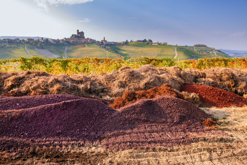 Rivetto_image_compost with view