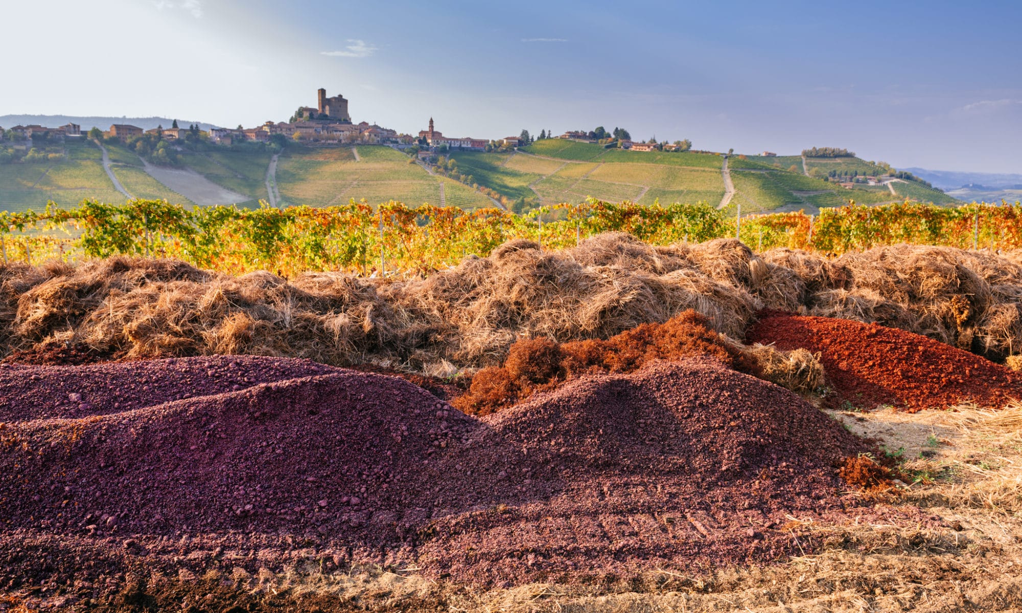 Rivetto_image_compost with view