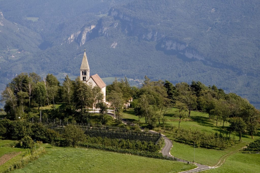 Castelfeder_image_Kerner vineyard Graun