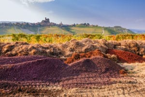 Rivetto_image_compost with view (1)