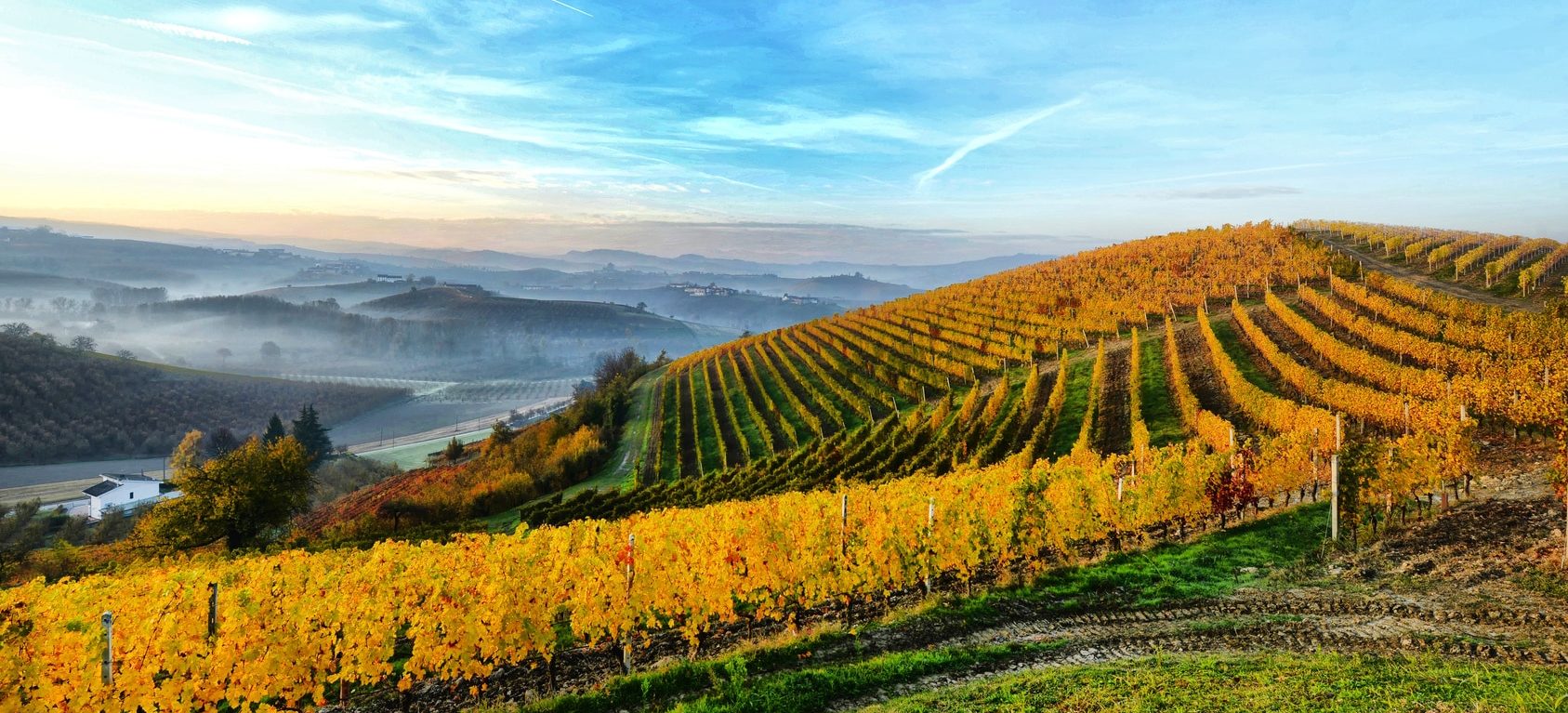 Langhe