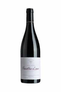 Finca-Torremilanos_Penalba-Lopez-Pinot-Noir_Bottle-Image