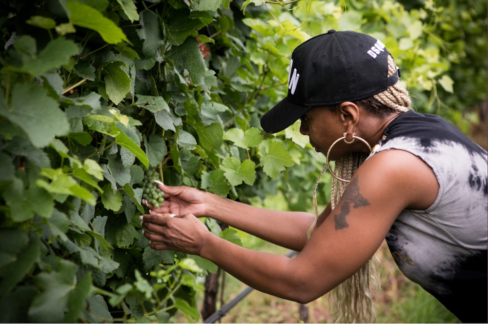 Mary J Blige in the Fantinel Vineyard