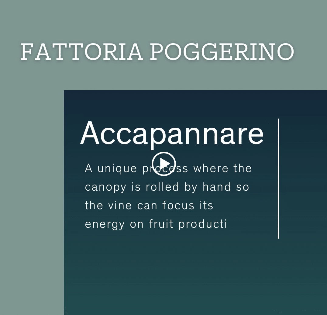 Poggerino Accapannare Preview