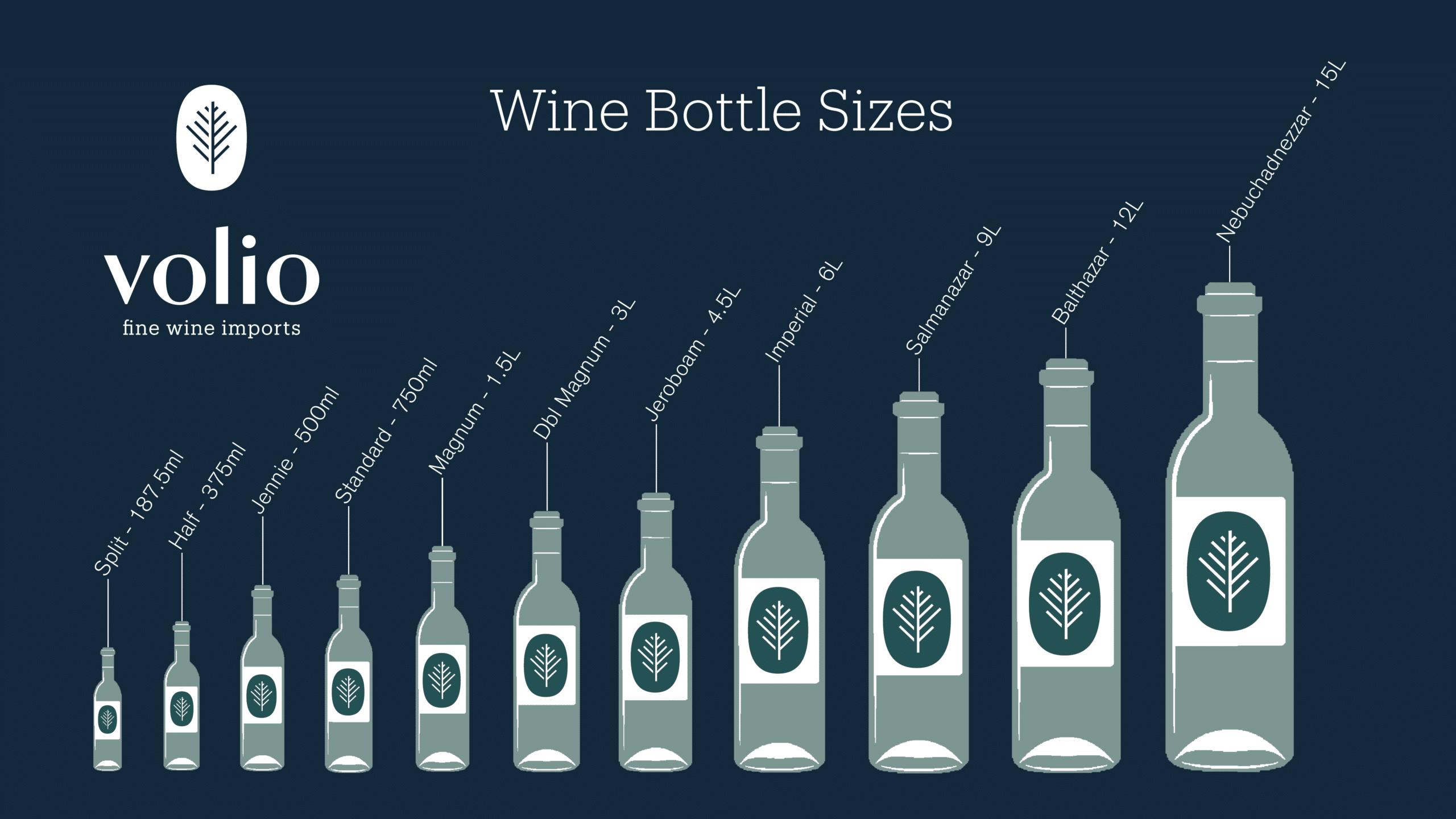 Wine Formats Graphic