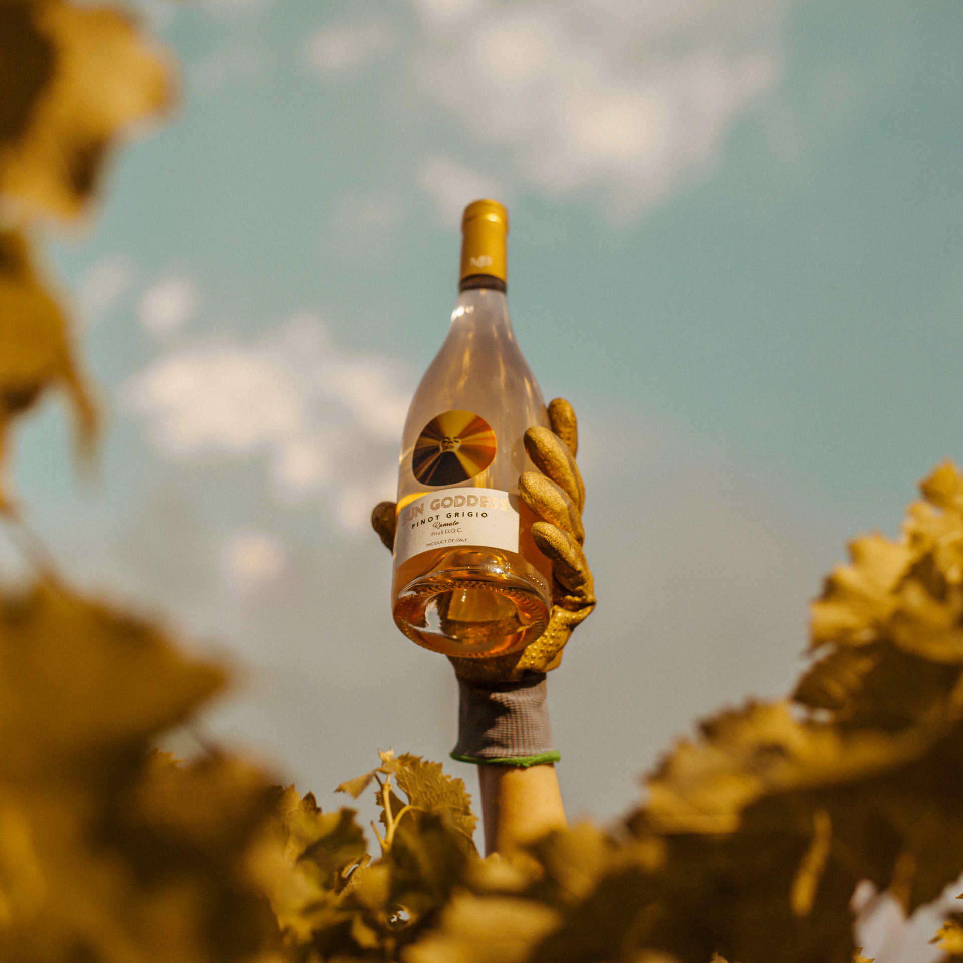Sun Goddess Pinot Grigio Ramato