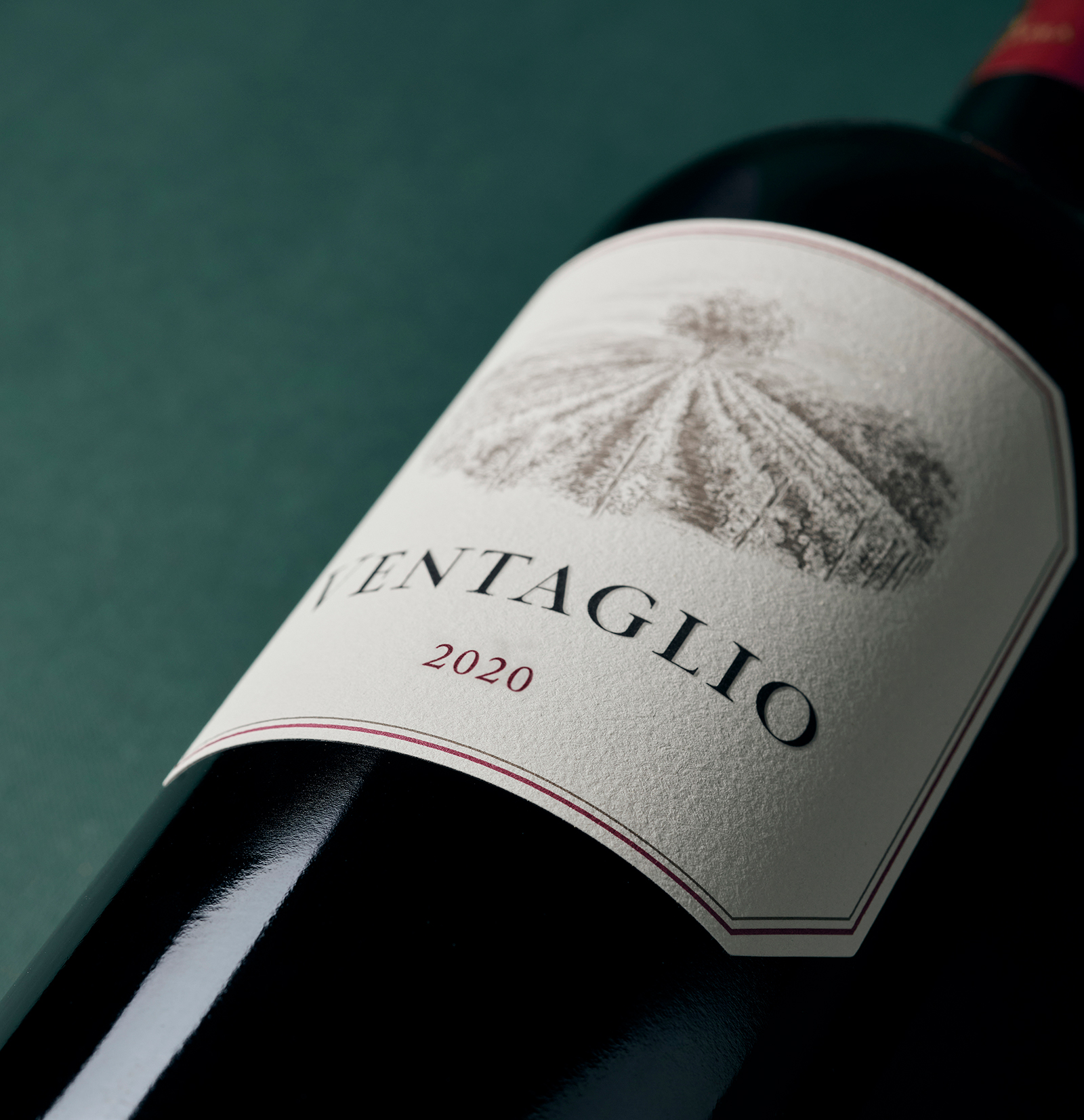 Tenuta Argentiera Ventaglio