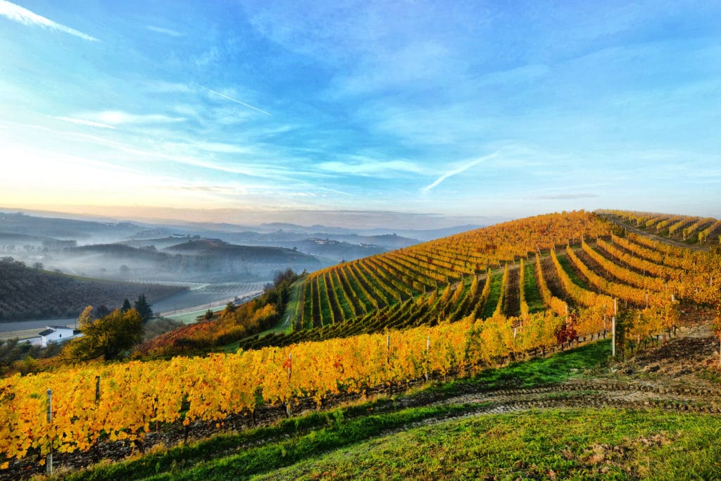 Langhe