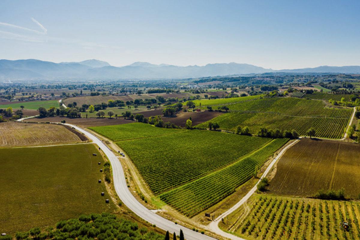 Tenuta Alzatura Cortili