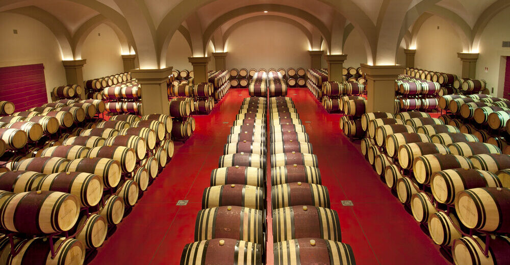 Tenuta-Argentiera_image_cellar