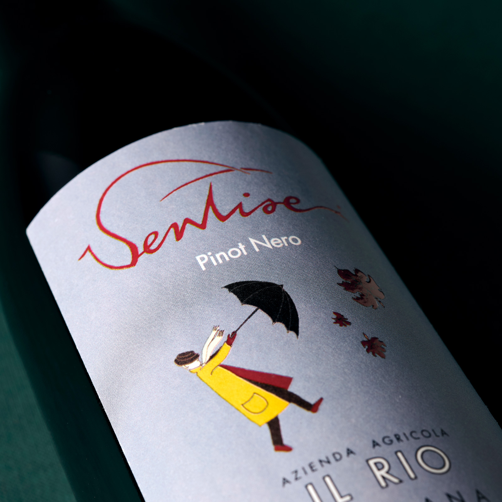 Il Rio Ventisei Pinot Nero